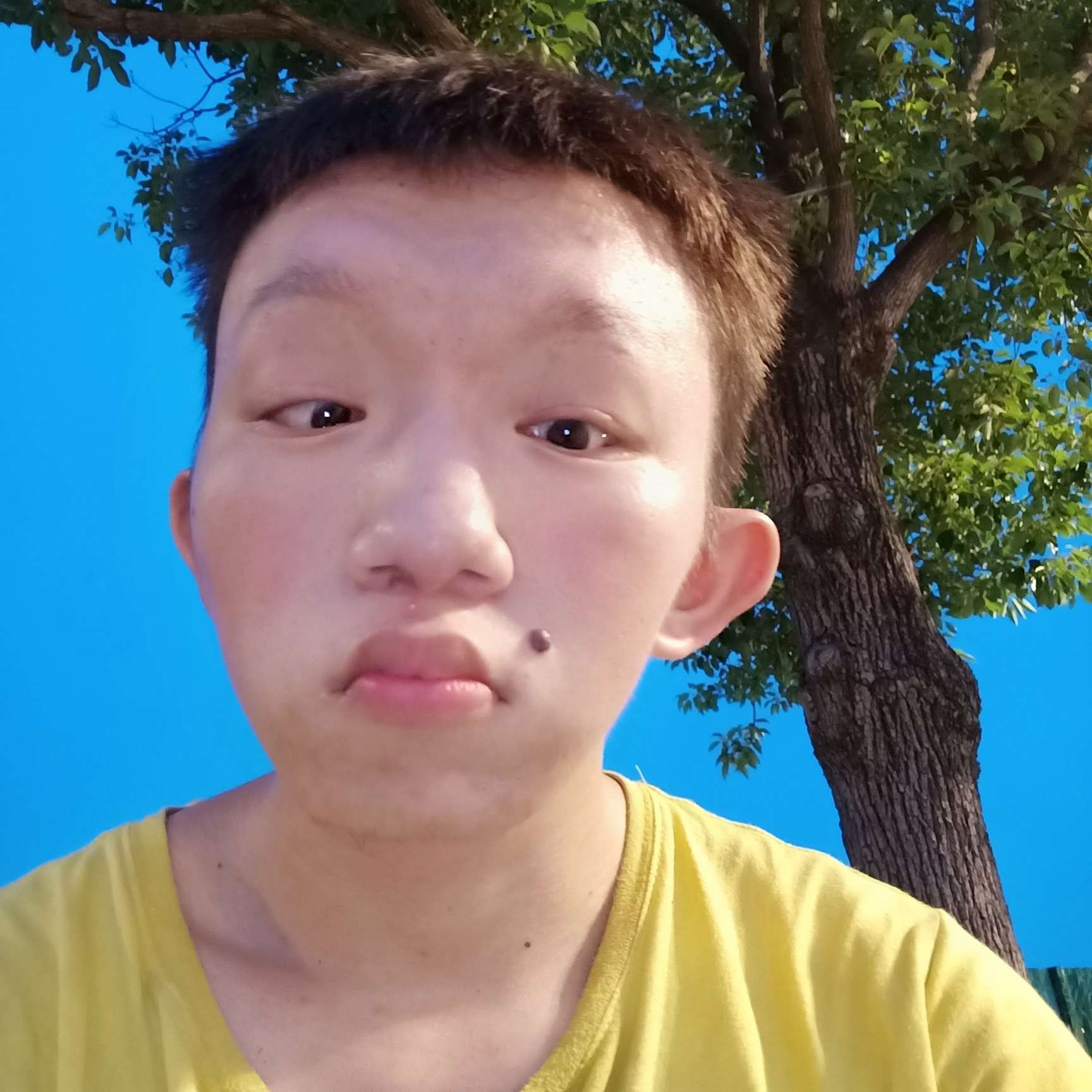 火星上闻陌颜的照片