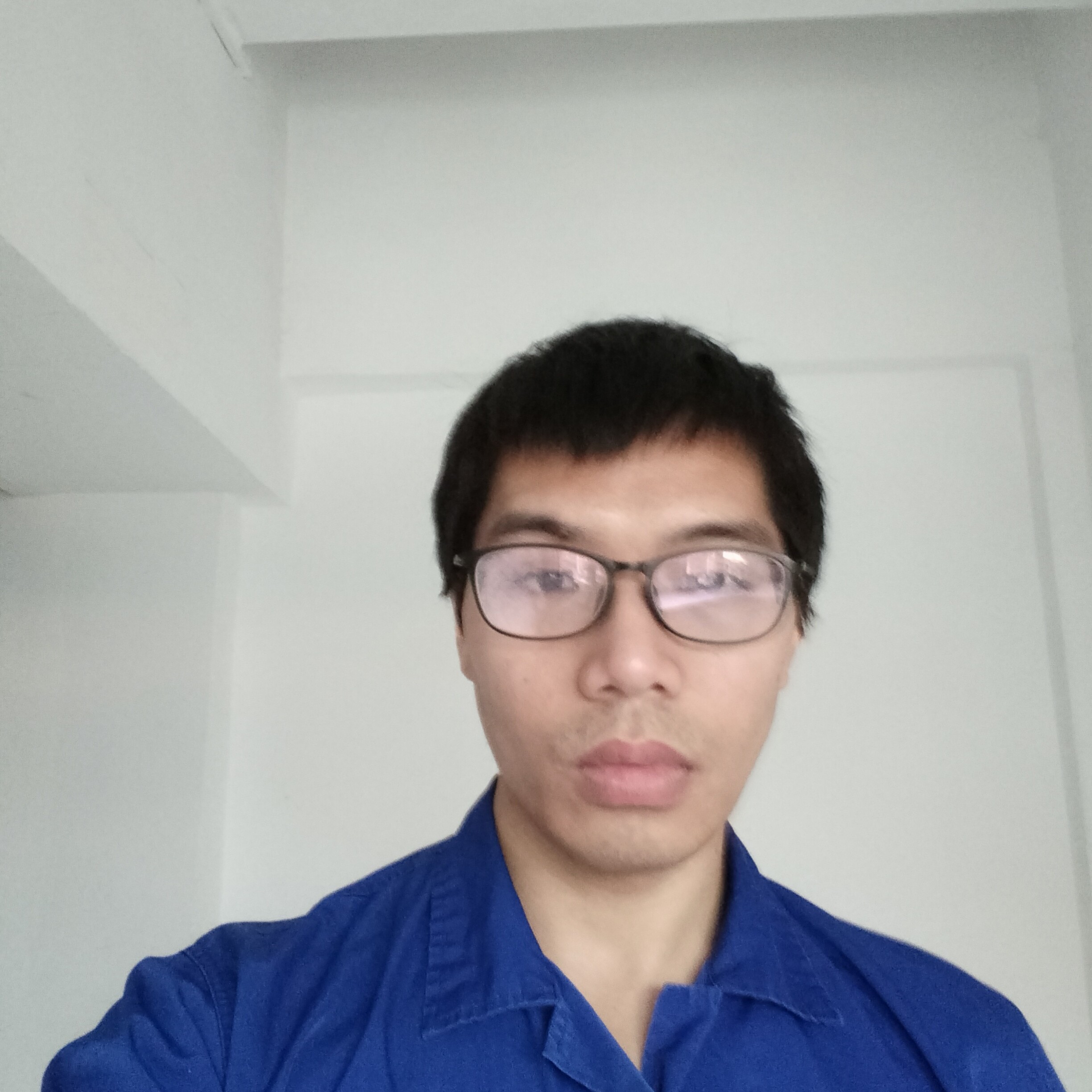 动听蹁跹曲奇的照片