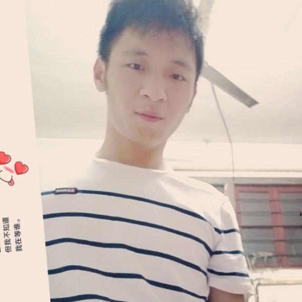 错落龙猫的照片