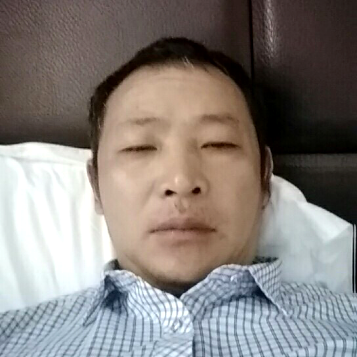 草丛暴躁的照片