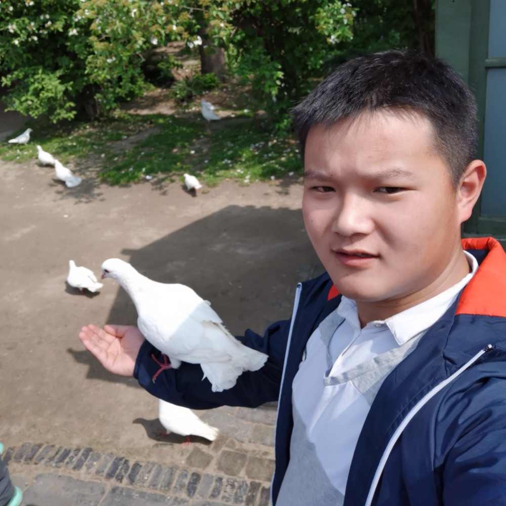 受伤回首离歌的照片