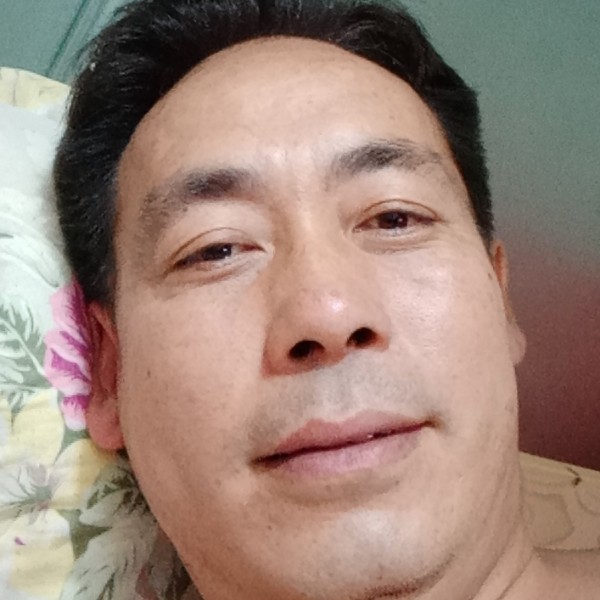 小海豚深拥称心的照片