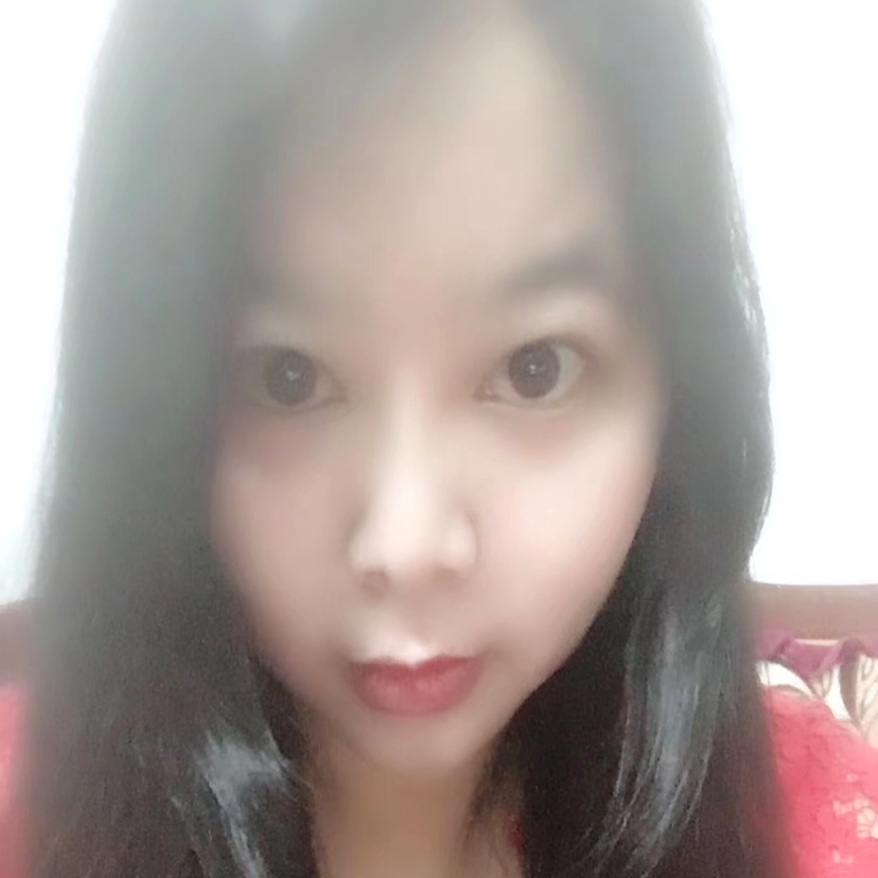 啤酒腼腆的照片