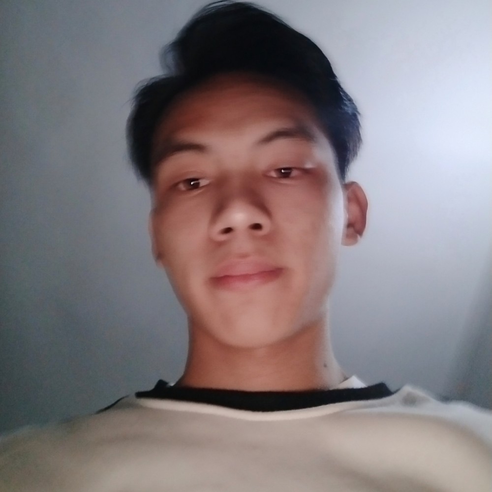 调皮小猫咪的照片