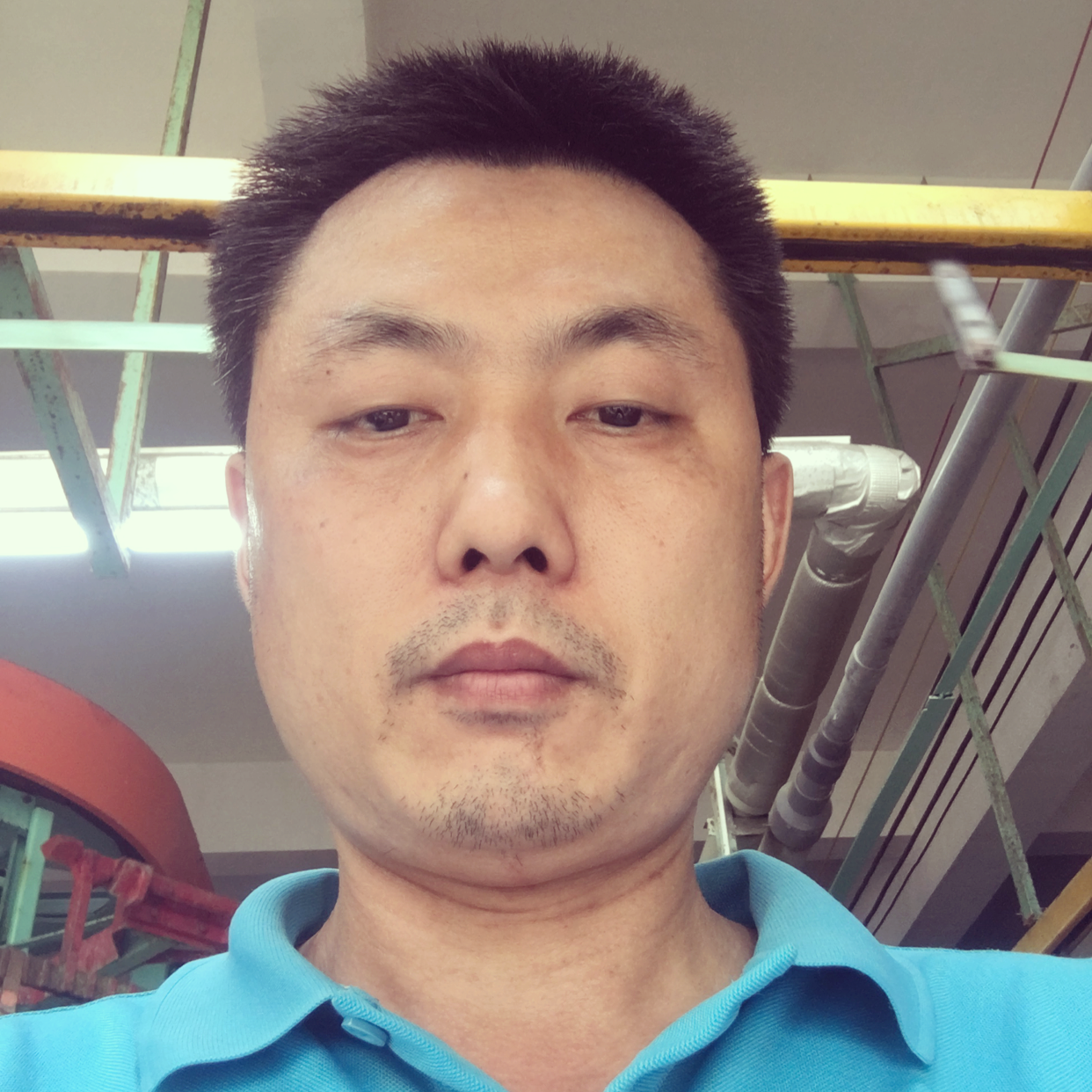 北方的狼mxc的照片