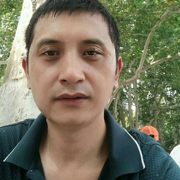 西牛踢开朗的照片