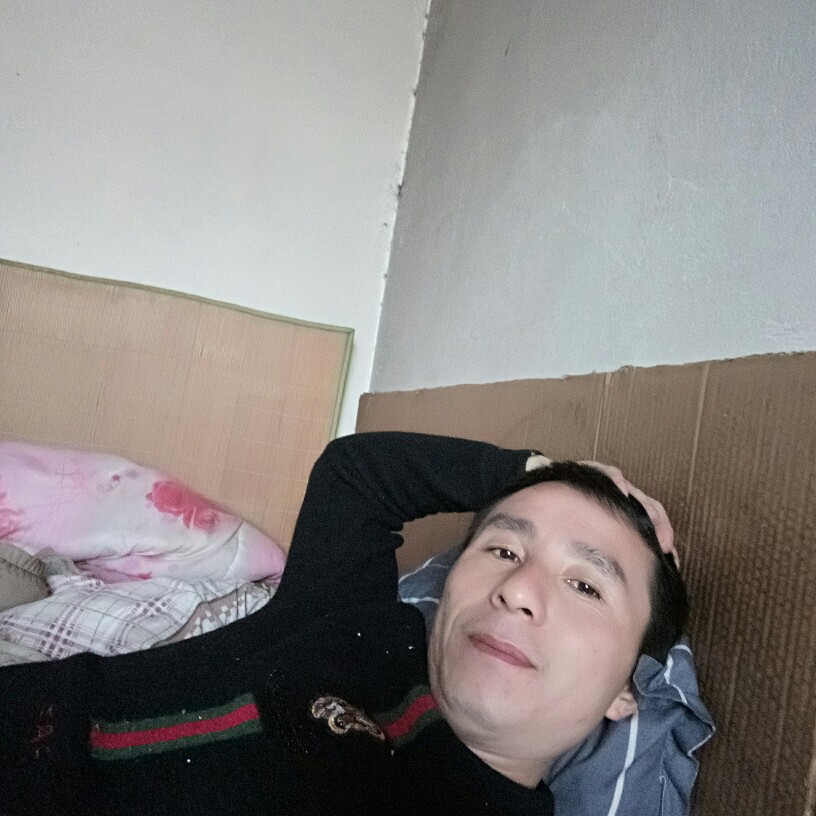 洁净停止小兔子的照片