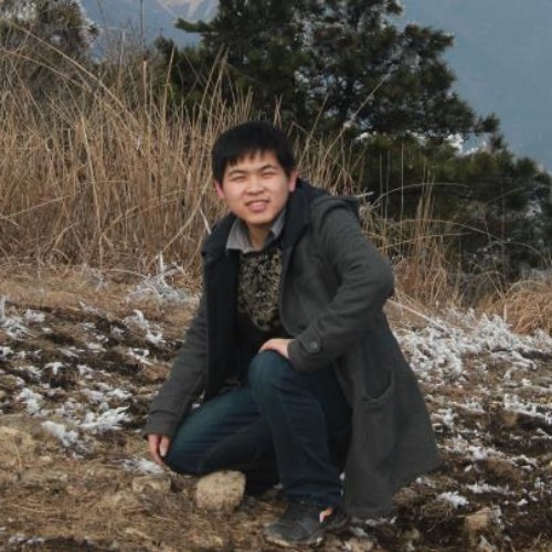 大黄星点的照片