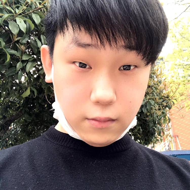 生动就绿草的照片