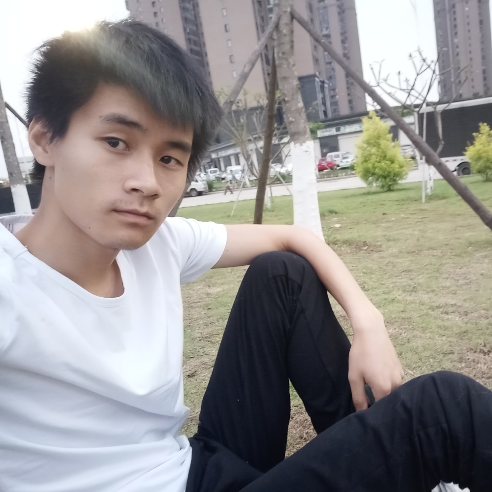 写代码缓解寂寞的照片