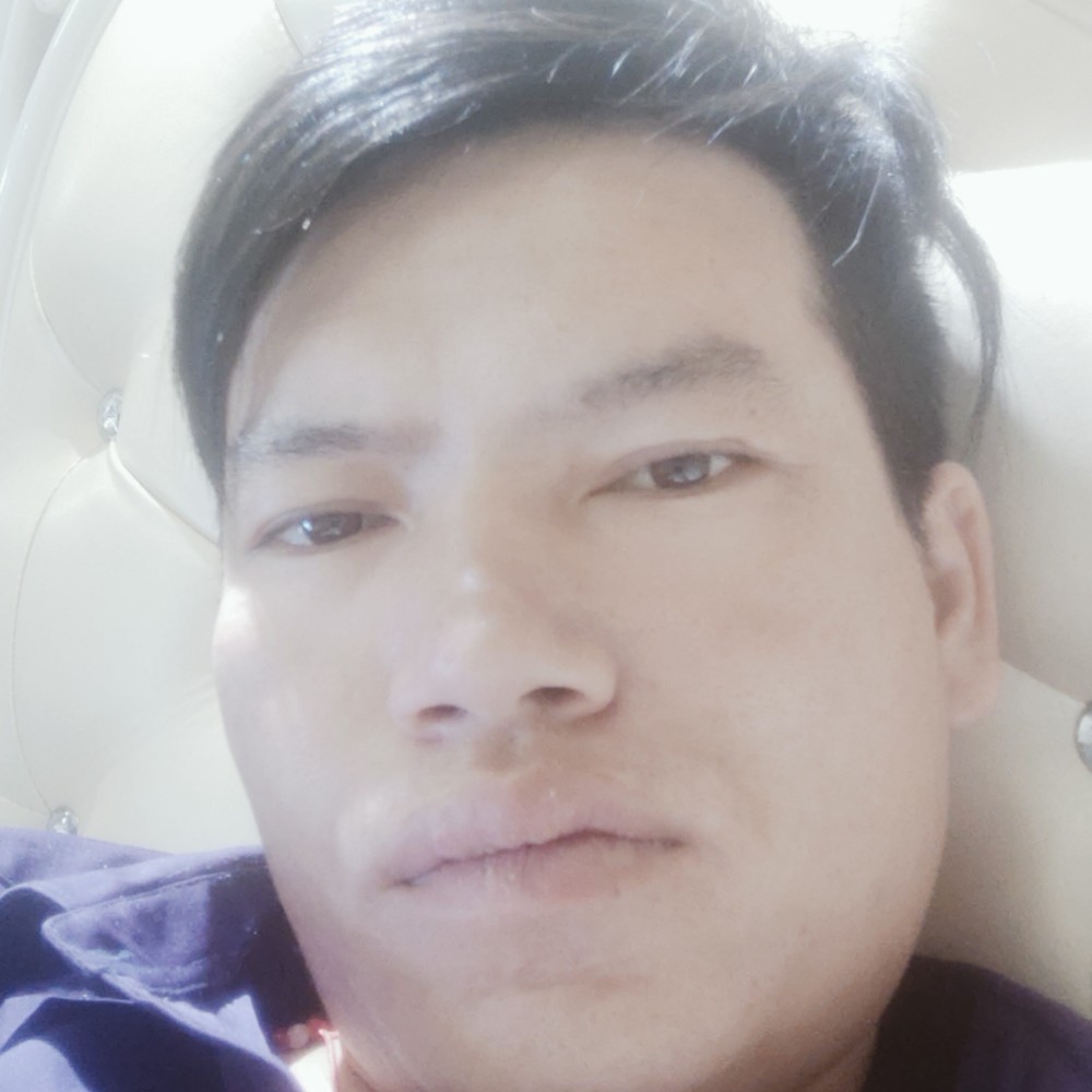 早晨停止专一的照片