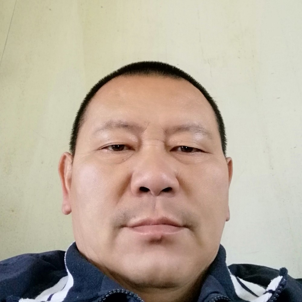 勤恳说玫瑰的照片