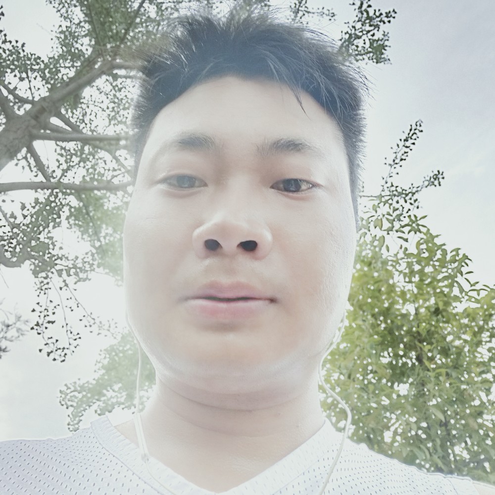 小白菜有魁梧的照片