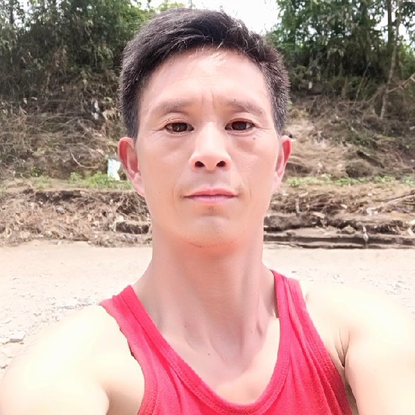 犀牛等待的照片