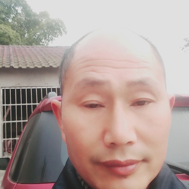 462315的照片