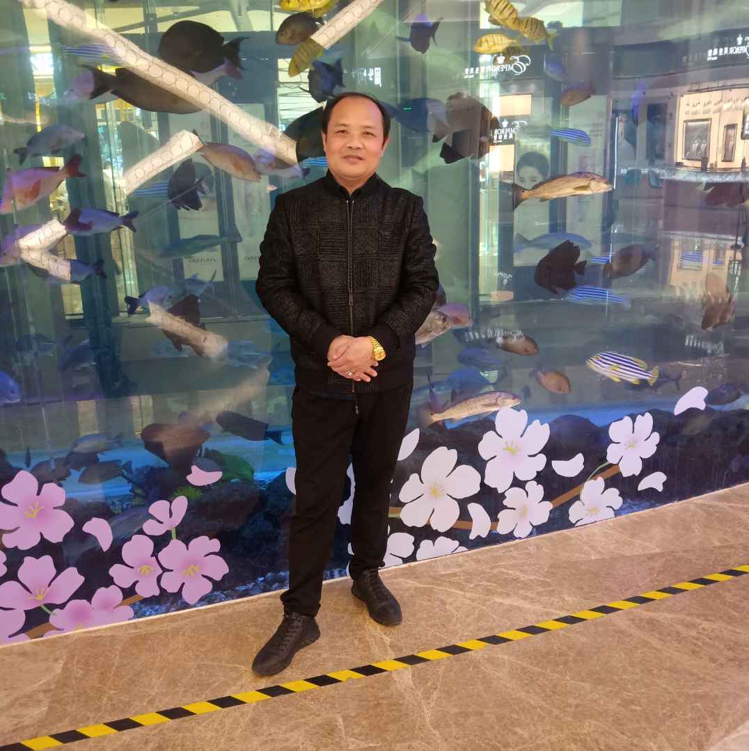 多情向手机的照片