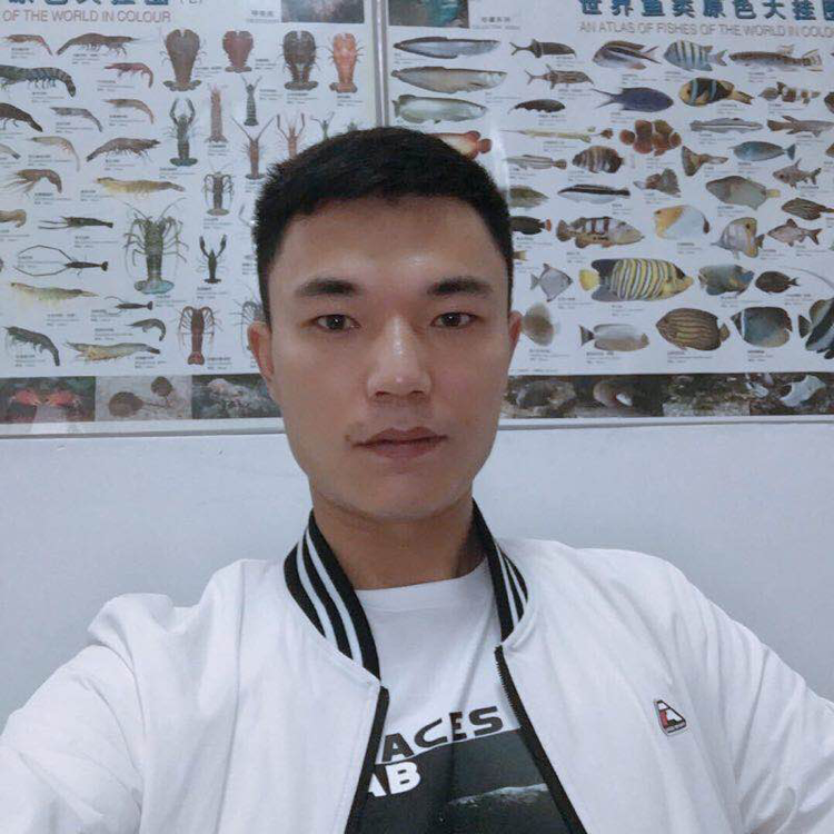 正直踢黛儿的照片