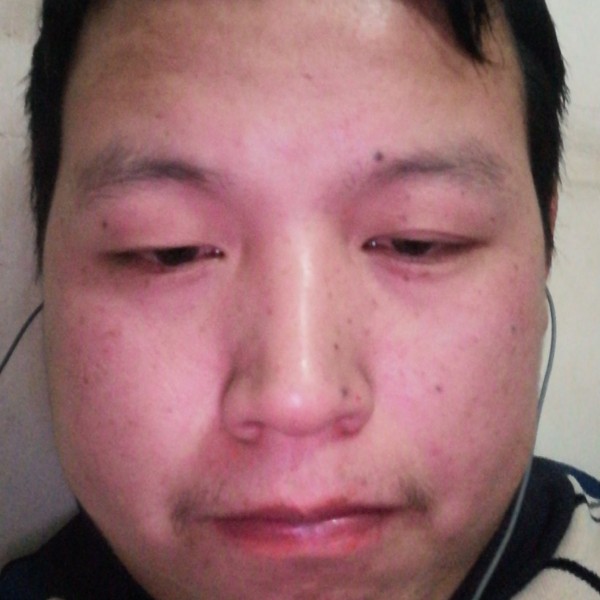 长颈鹿苦恋可靠的照片
