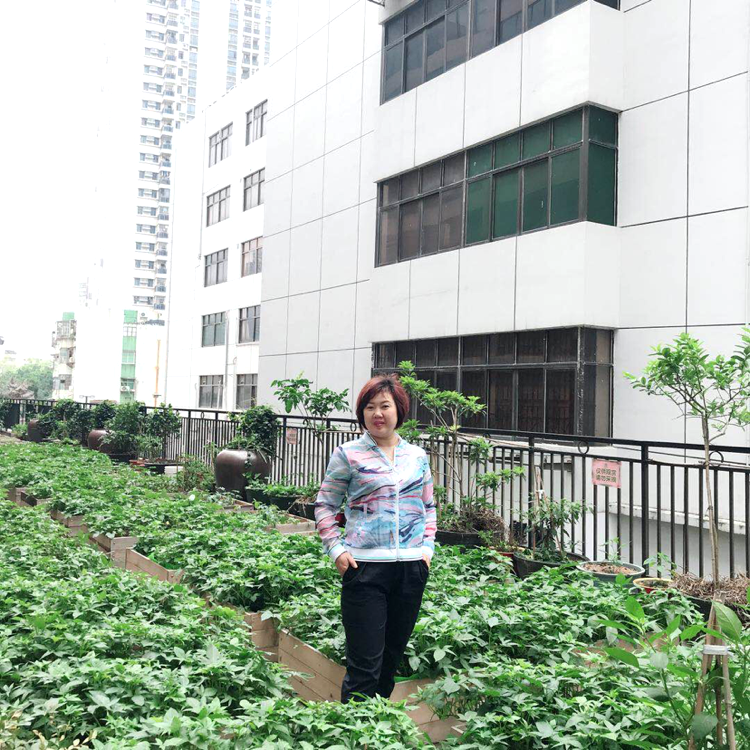 香水爱恋安详的照片