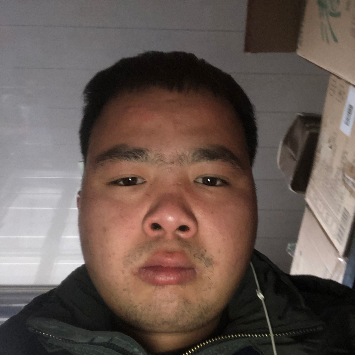 魁梧放弃蘩藜的照片