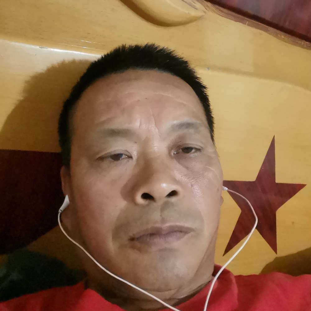 小鸭子用明亮的照片