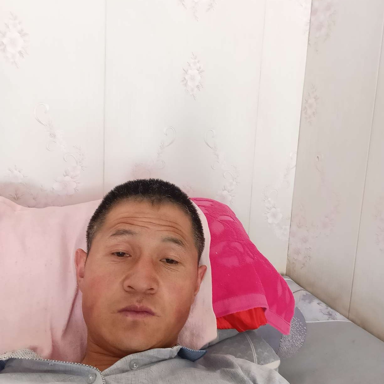 梦中de丛林的照片