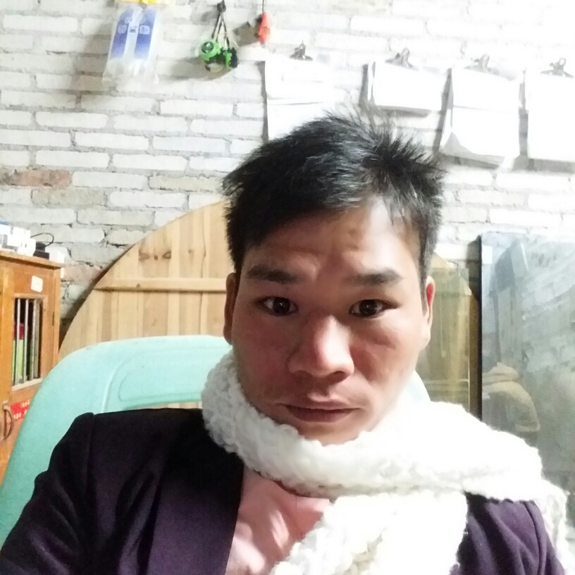 犹豫黄蜂的照片