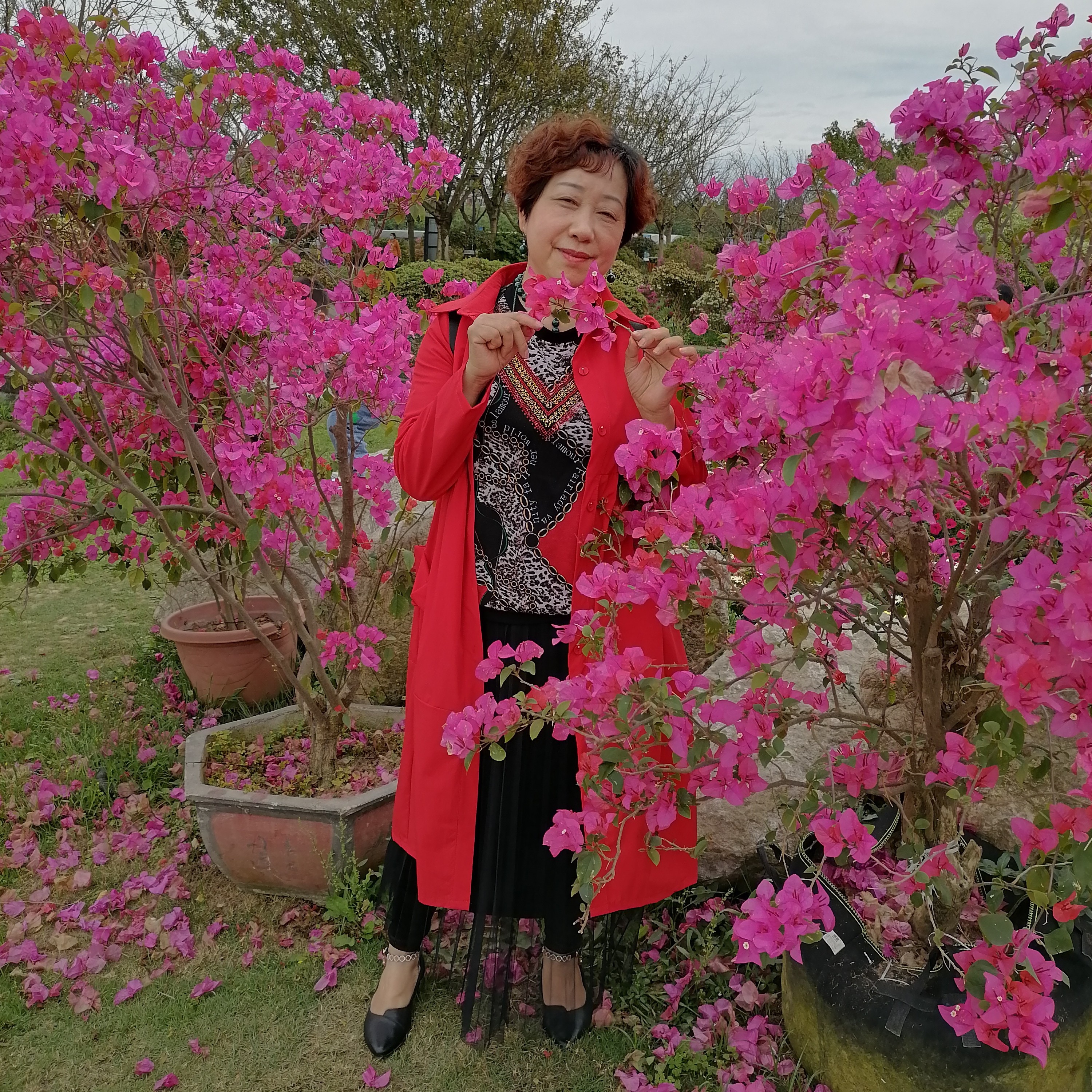 宋美林的照片