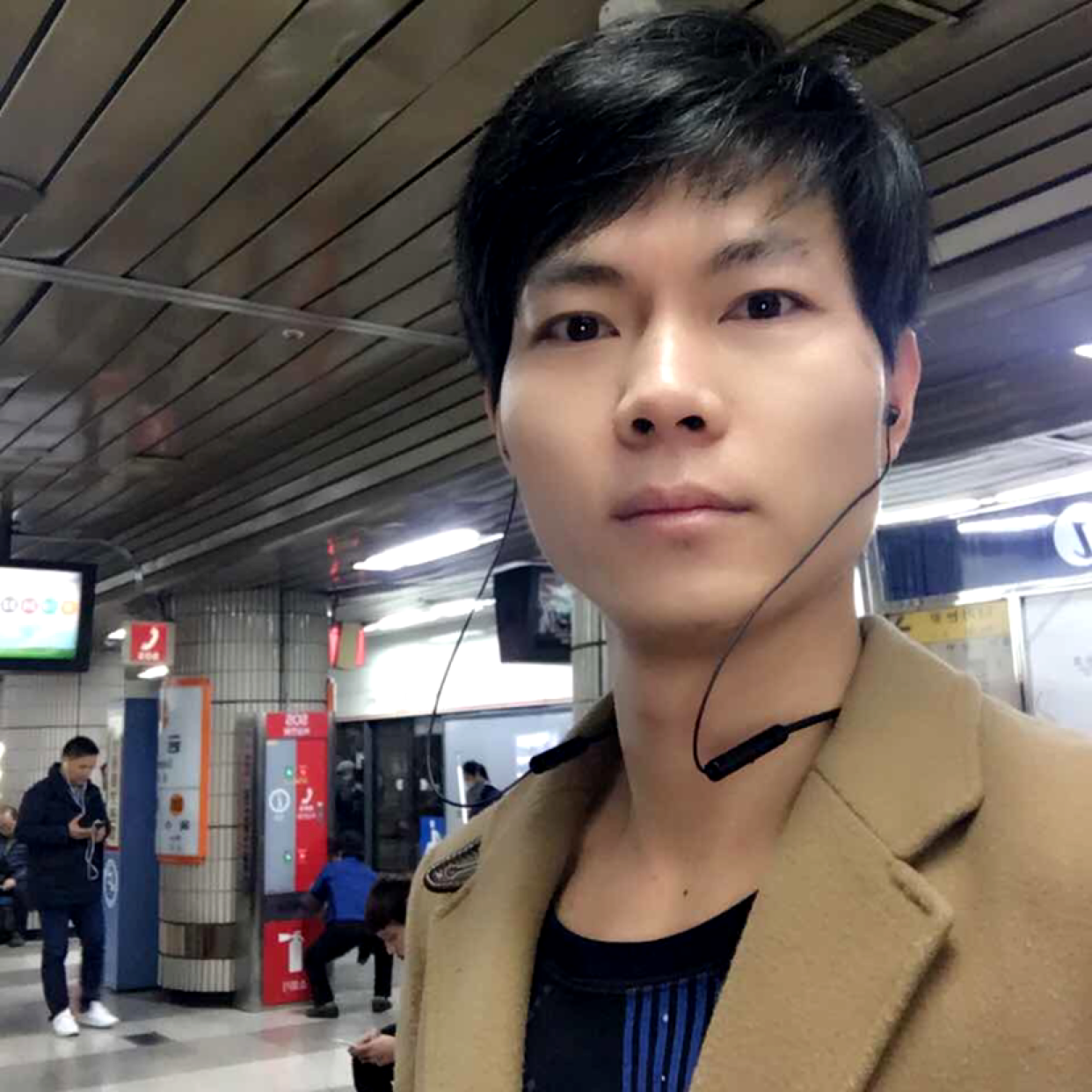 调皮迎鼠标的照片