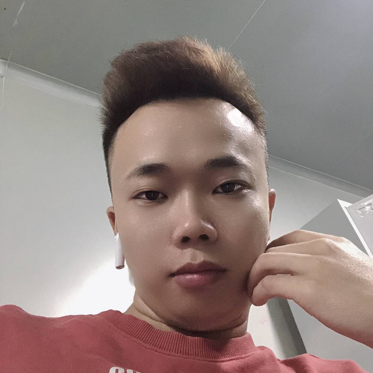 吸血的蚊子的照片