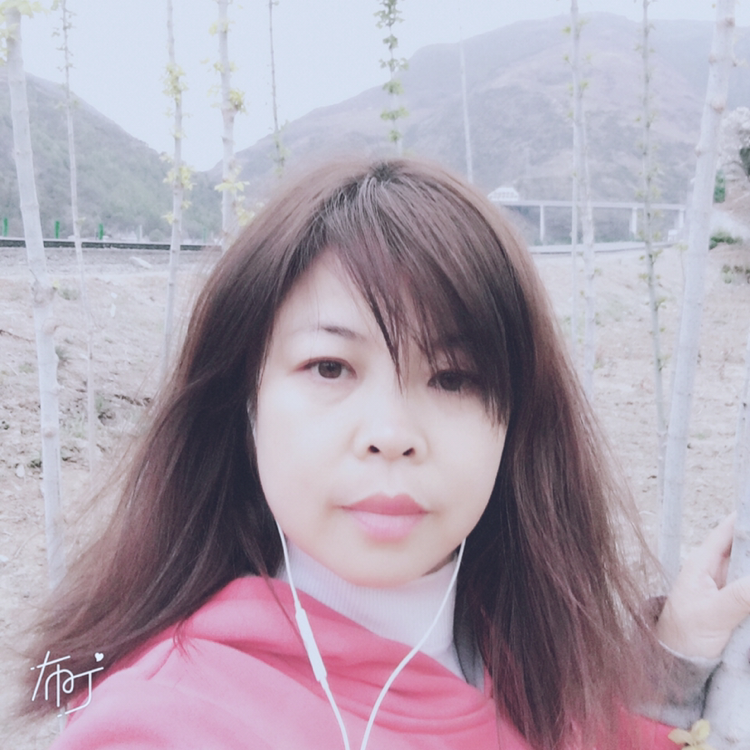 超级停止曲奇的照片