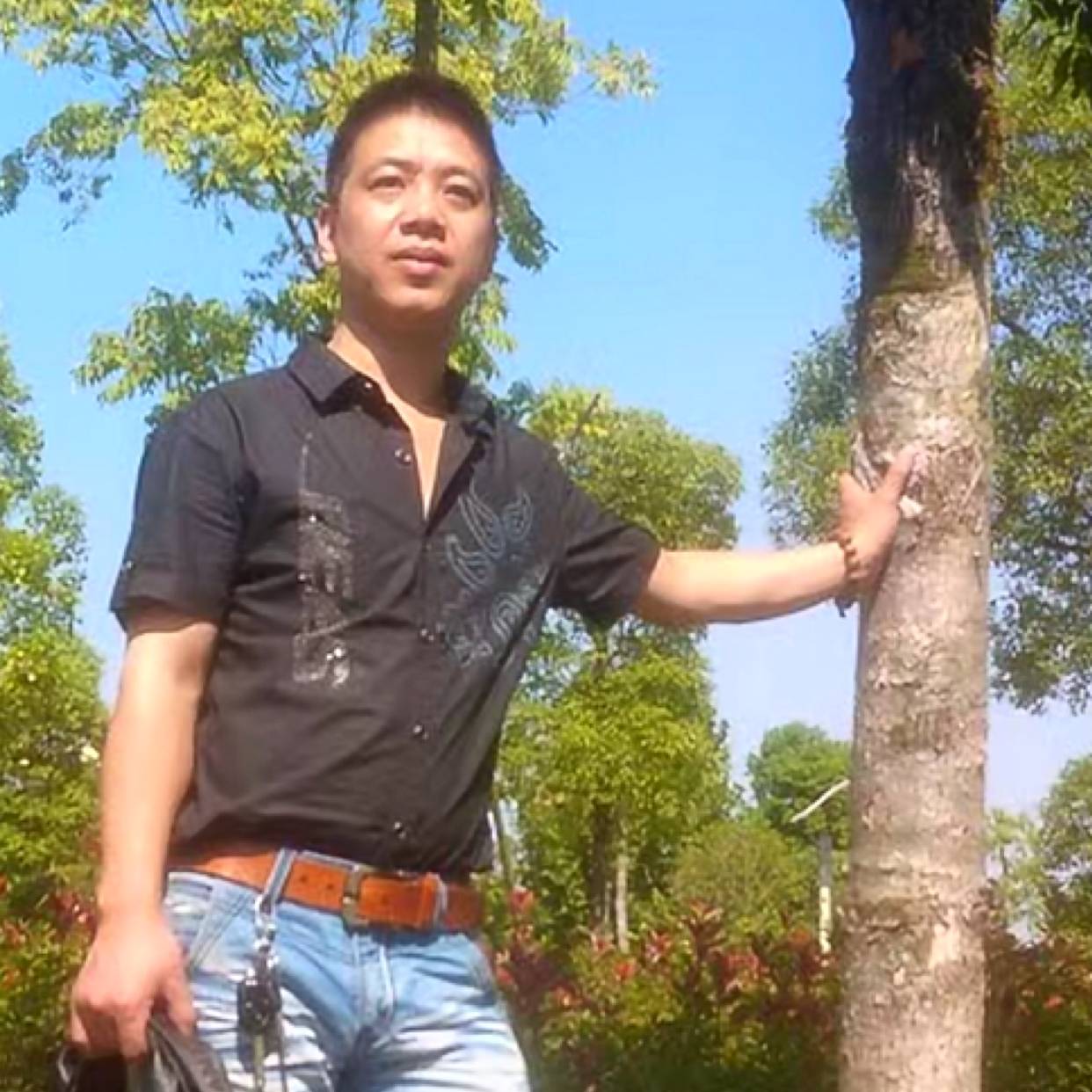 北方牧羊人的照片
