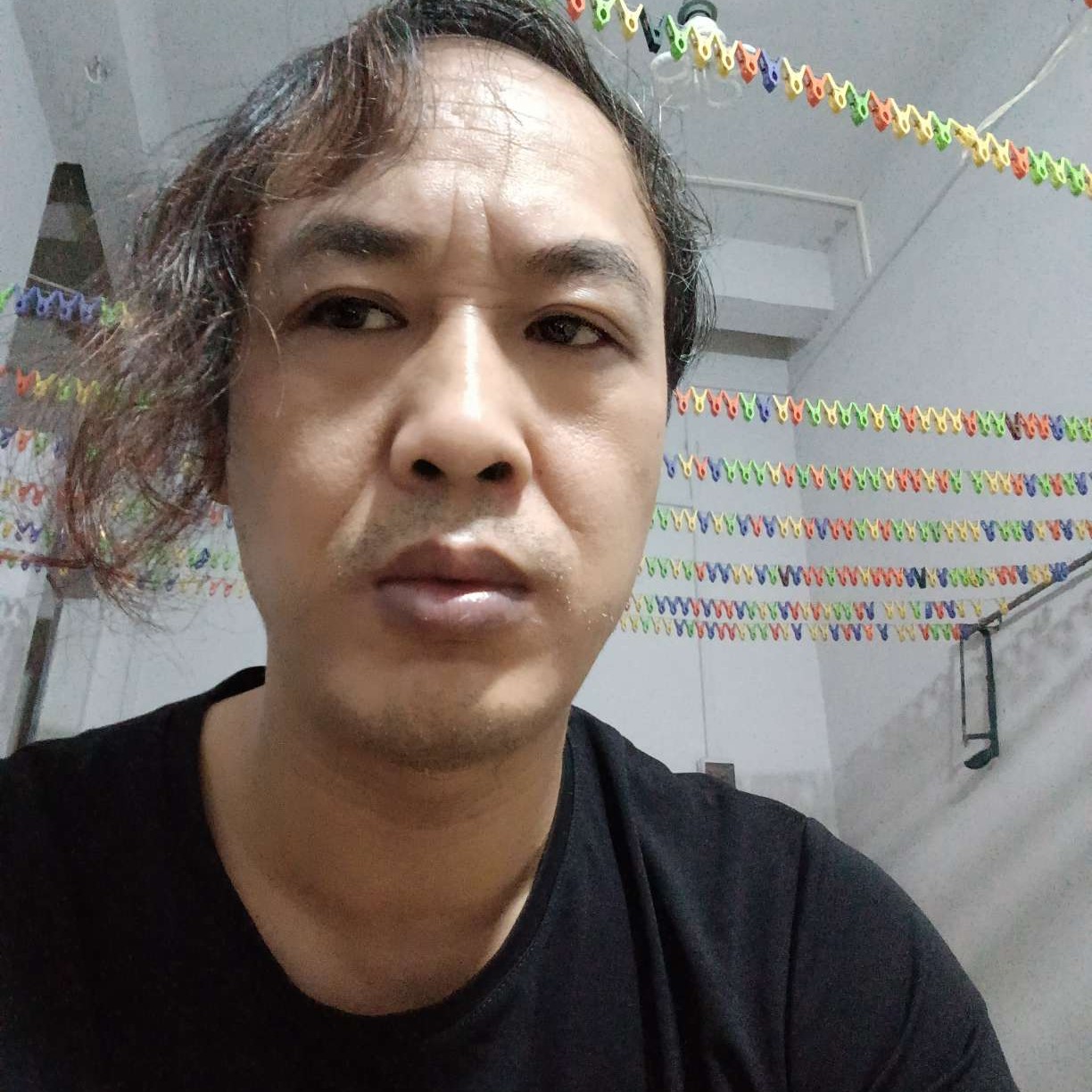 铃铛力的照片