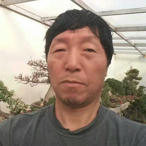 玩出个性的照片