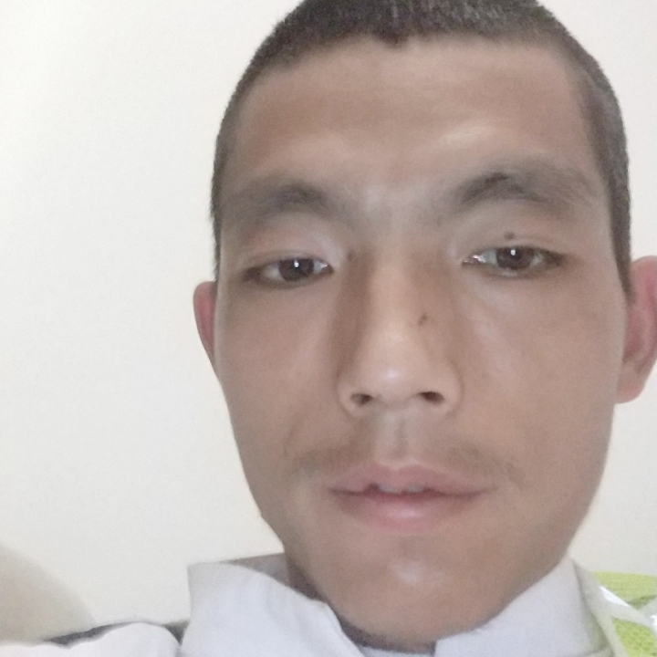 豆芽缓慢的照片