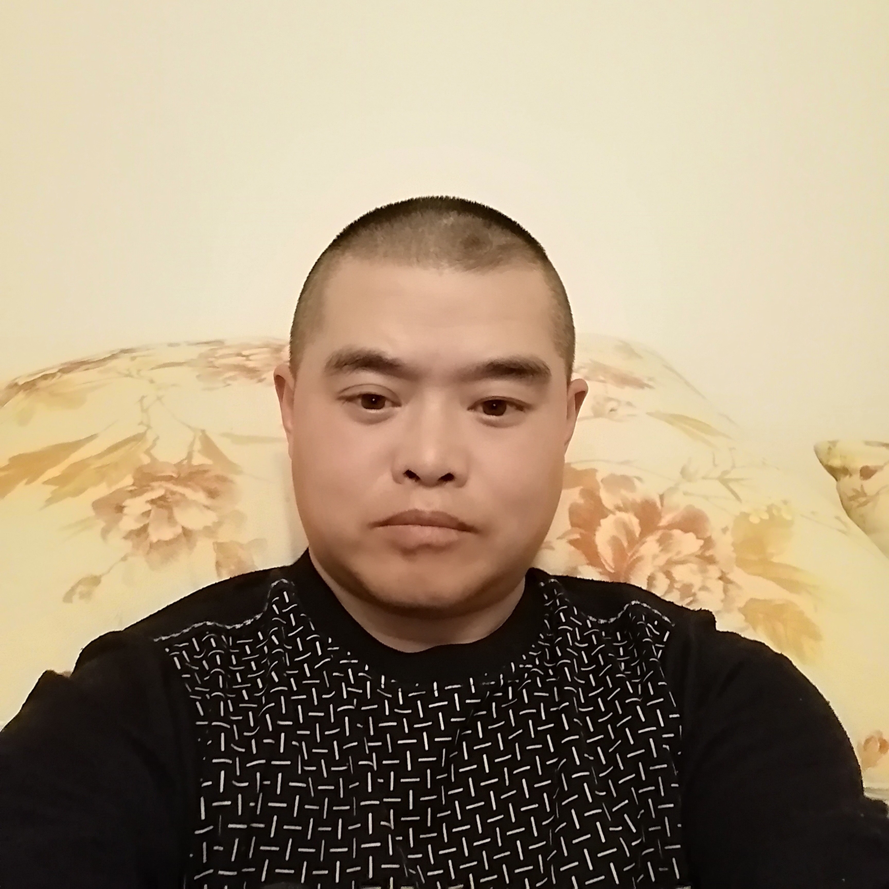 灰狼演变还单身的照片