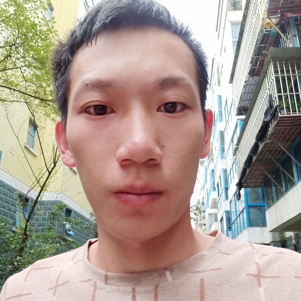 透彻迎向日葵的照片