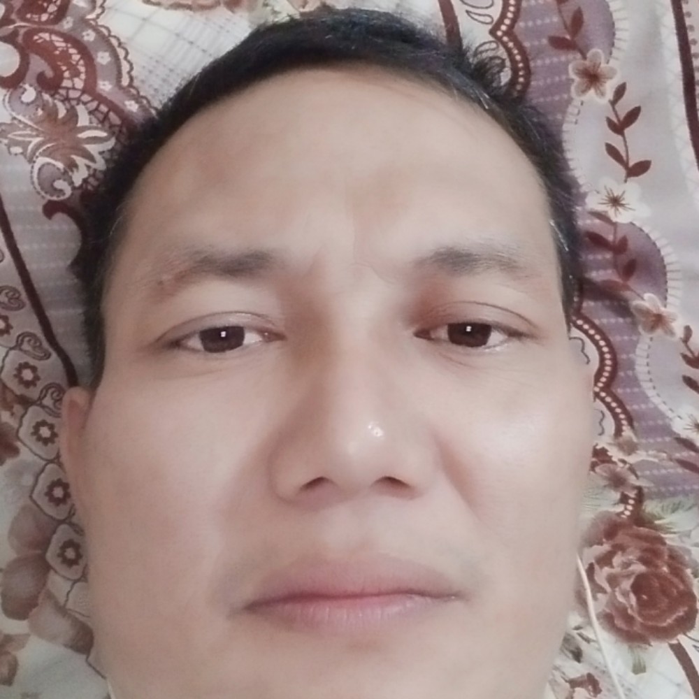 森槿等于亲爱的的照片