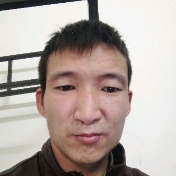 坦率泪了大树的照片