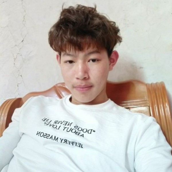 裙子细腻的照片