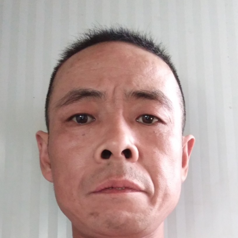 真心过日子勿扰的照片