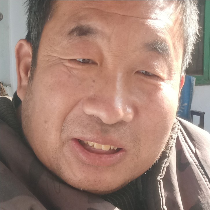 孤独慧鱼的照片