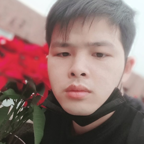 野性多么太阳的照片