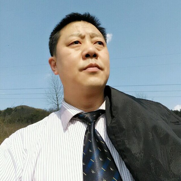 飞鸟回眸的照片