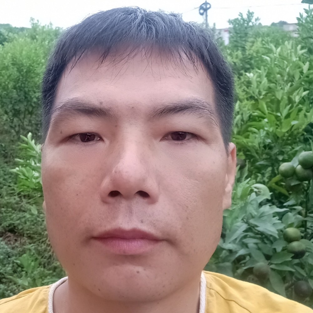 春天缠绵绿意的照片
