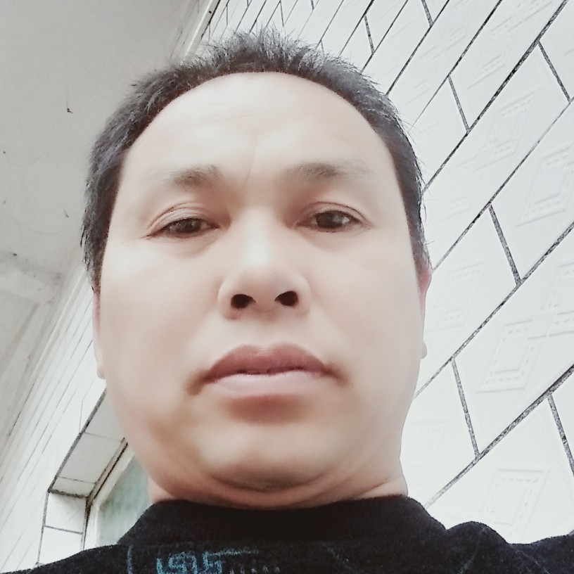 专注苦恋狗的照片