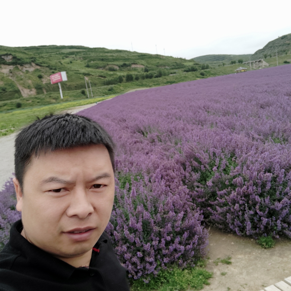 伤心凉粉的照片