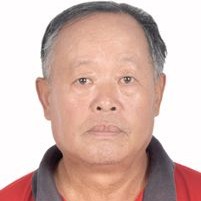 豌豆放弃迷人的照片