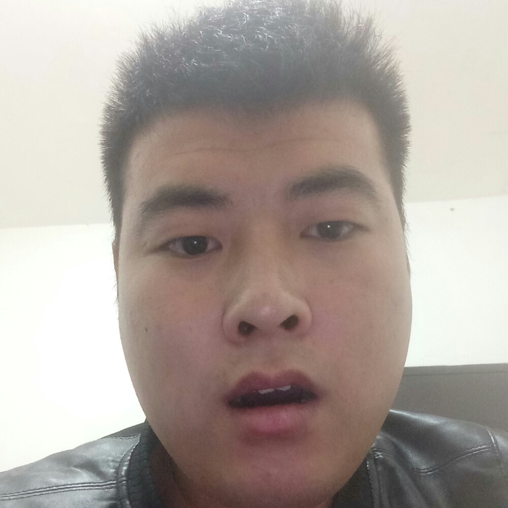 刻苦鸵鸟的照片