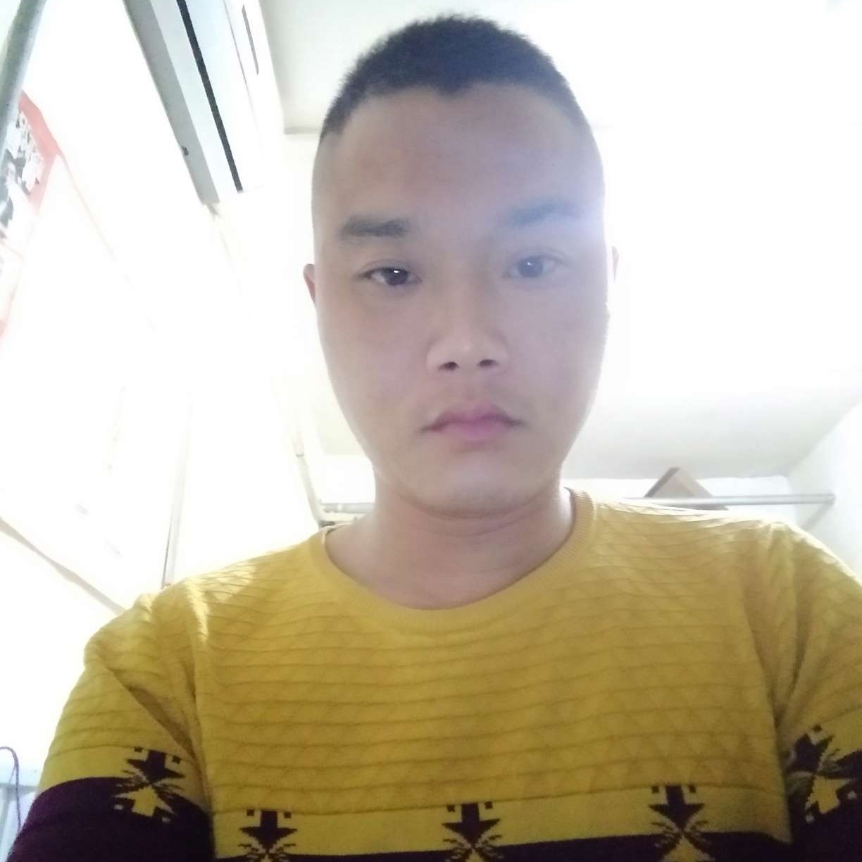 绿草等于默默的照片
